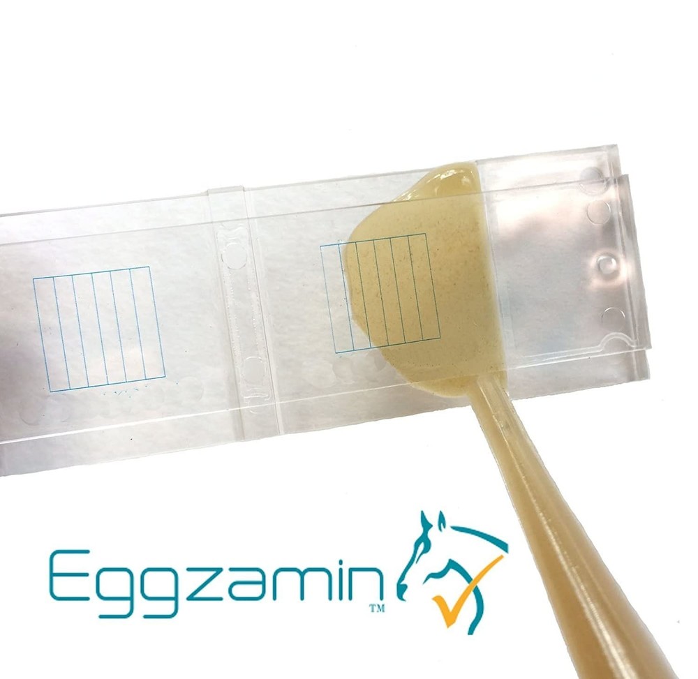 Bundle of 2 McMaster Method Microscope Slides, FEC (Fecal Egg Count) Double C...