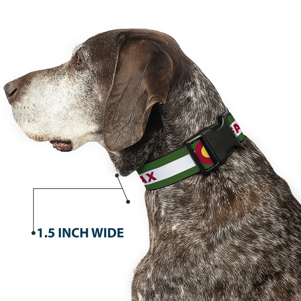 Plastic Clip Collar COLFAX Green Stripe Medium 11-16.5"