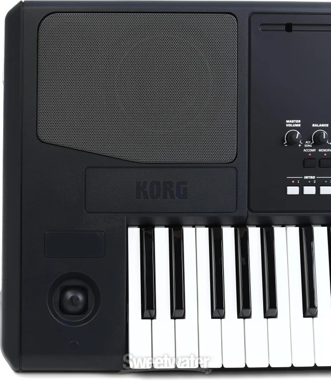 Korg Pa300 61-key Arranger Workstation