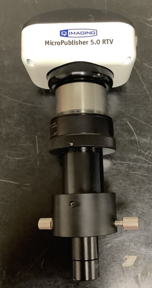 QImaging Evolution MP Micropublisher 5.0 and HRD060 Microscope Camera Adapter