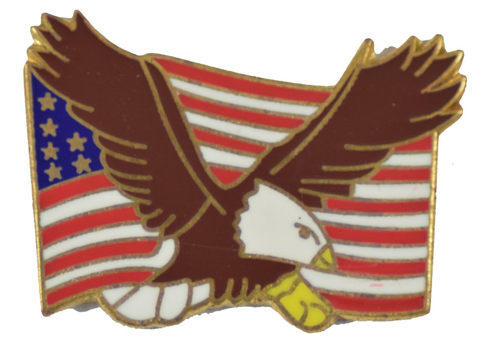 EAGLE & FLAG HAT PIN