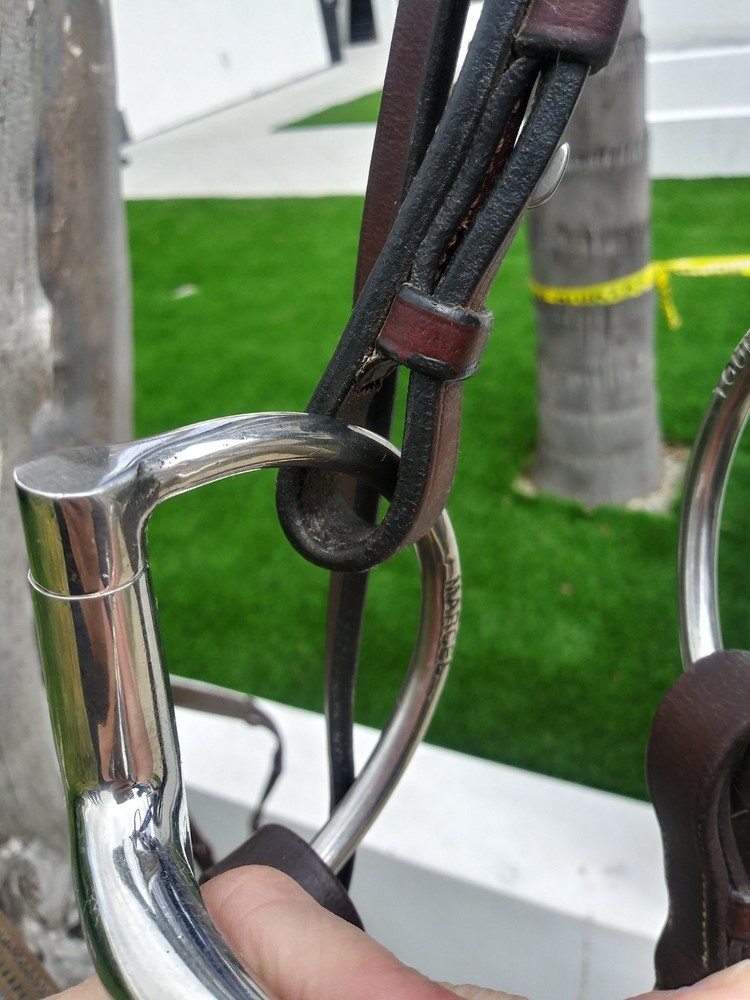M Toulouse Hunter D-Ring Bit 5 Inch
