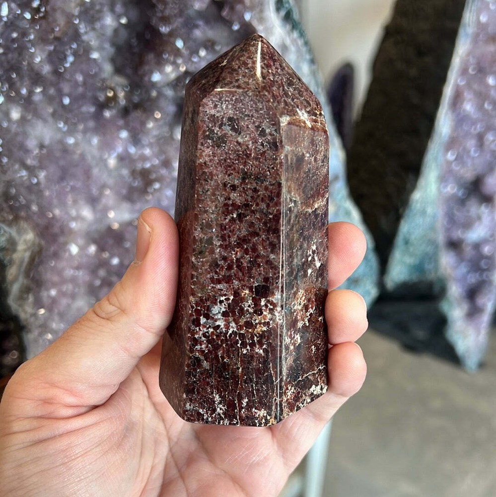 Garnet Tower D