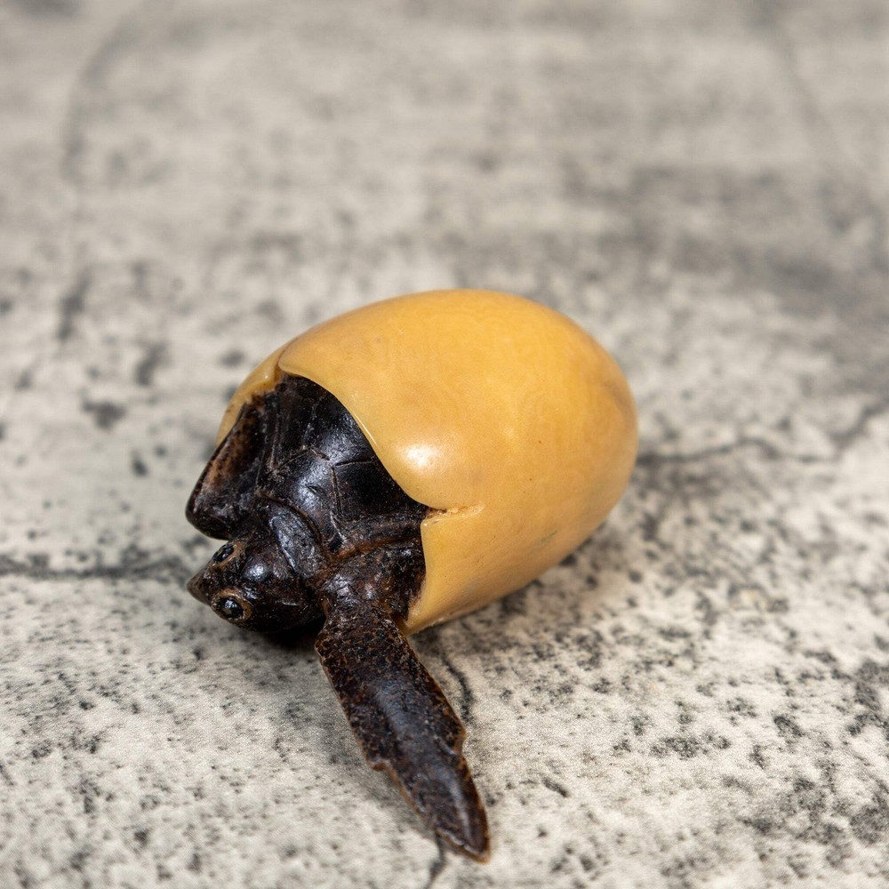 Sea Turtle Emerging From Egg Tagua Carving