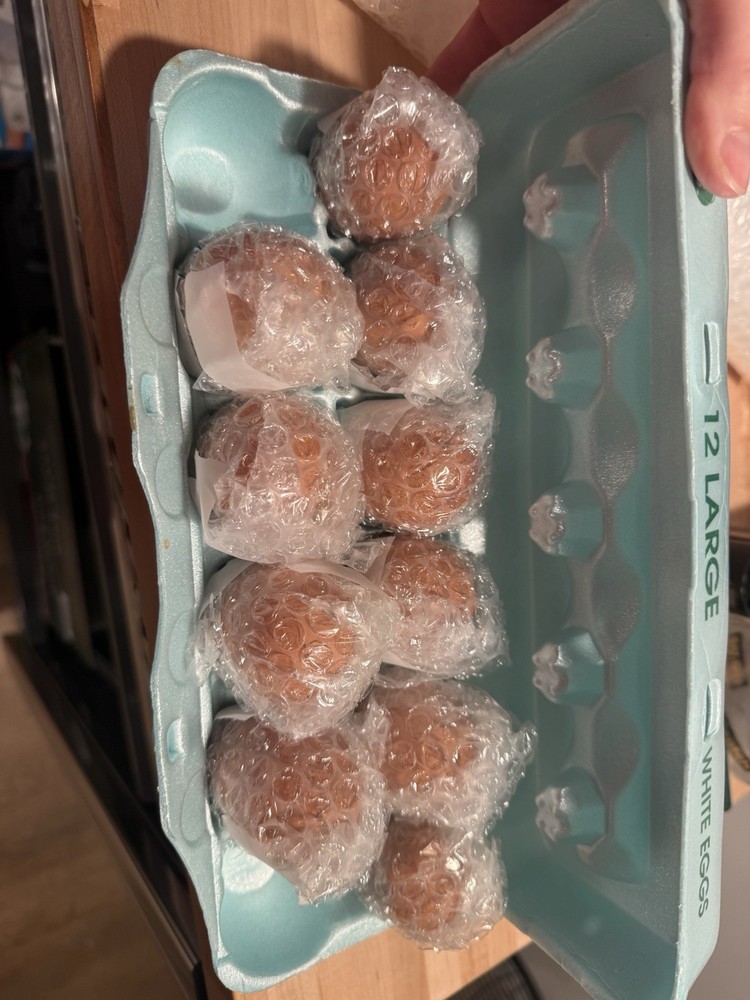 Blue Splash Maran Hatching Eggs 6+