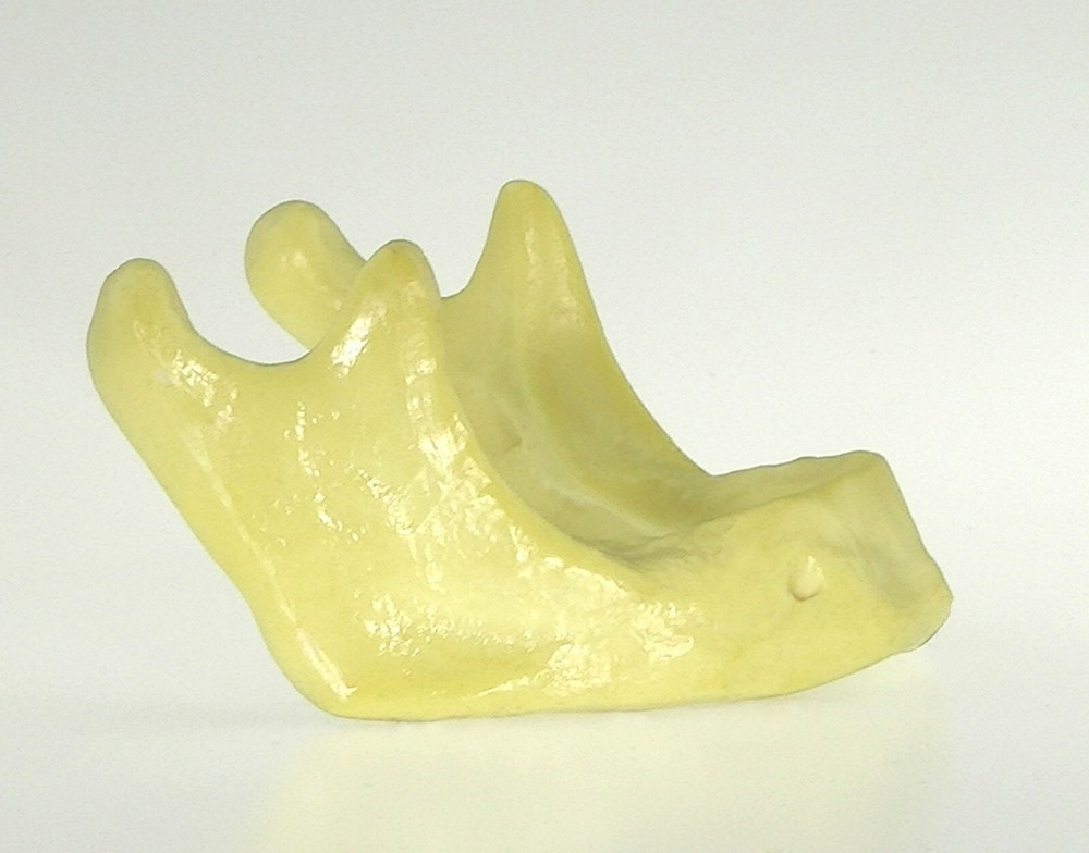 Dental Mandible Jaw Model for Basic Drilling Implant Insertion Practice 10PCS