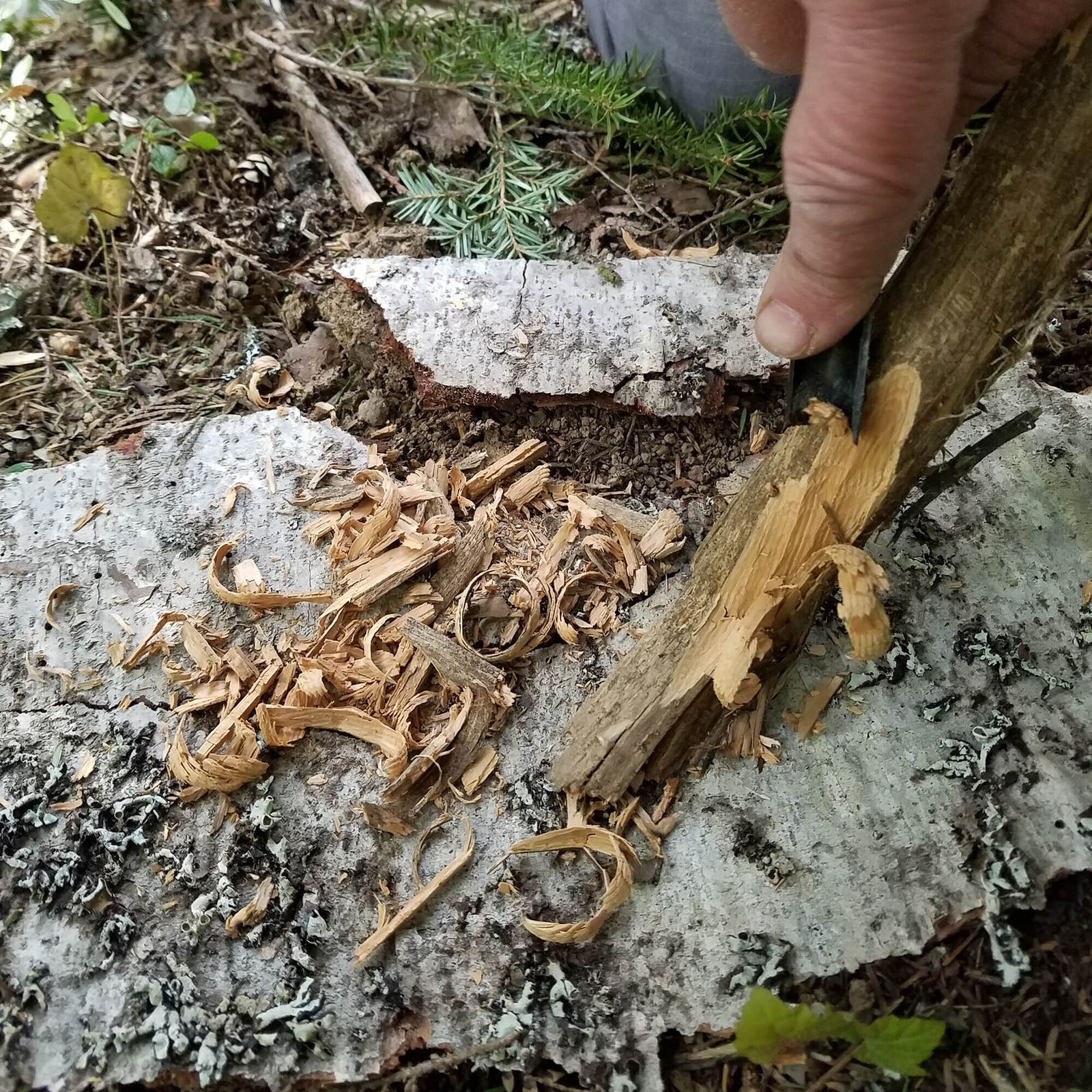 HexaLite™ Ferro Rod Fire Starter - Large 6-Sided Shape & Easy Grip Striker