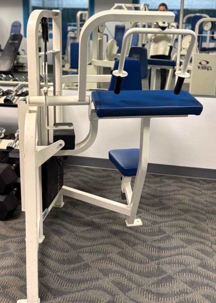Cybex | VR2 Triceps Extension