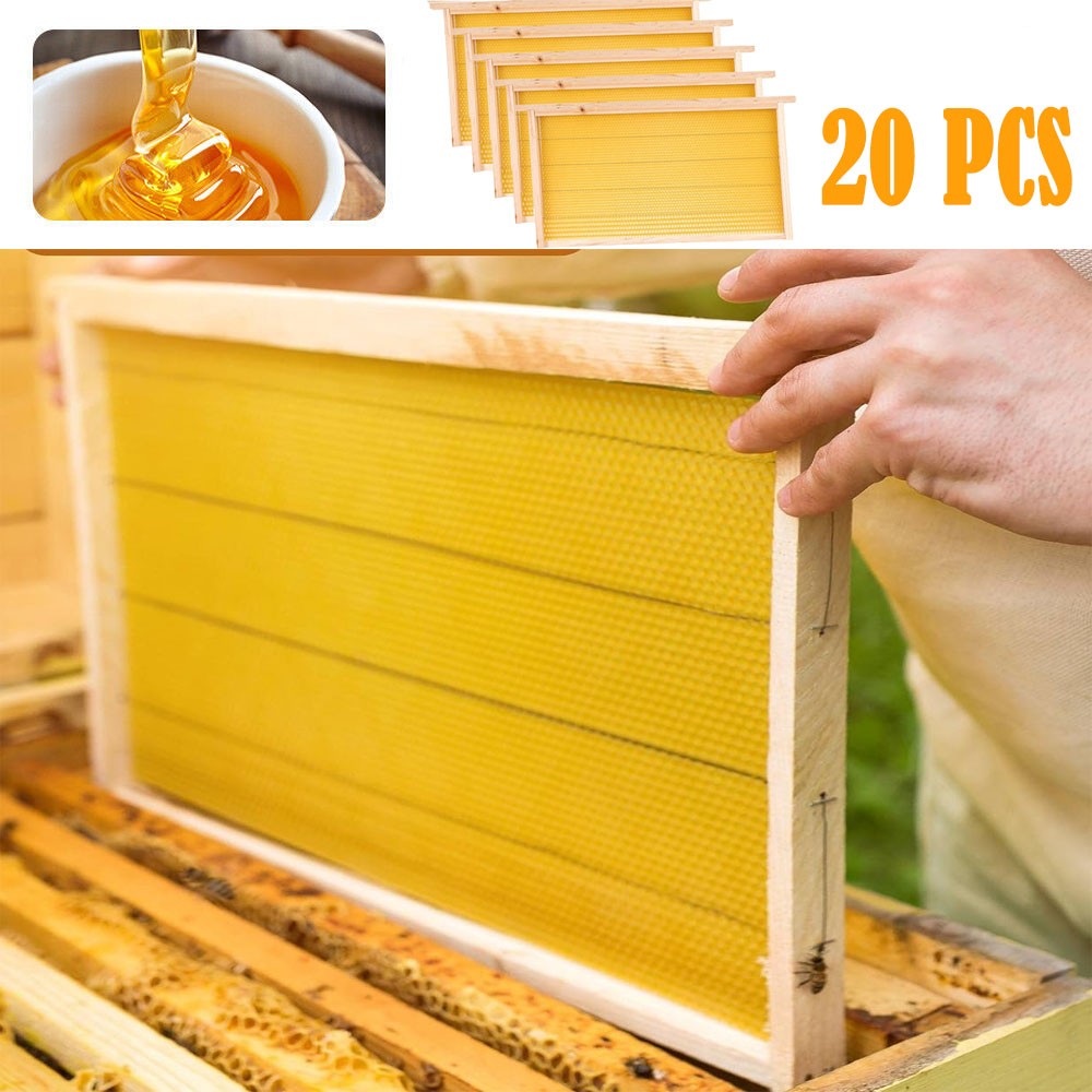 20PCS Bee Wax Foundation Hive Frames Foundation Deep Comb Bee Hive With Wire
