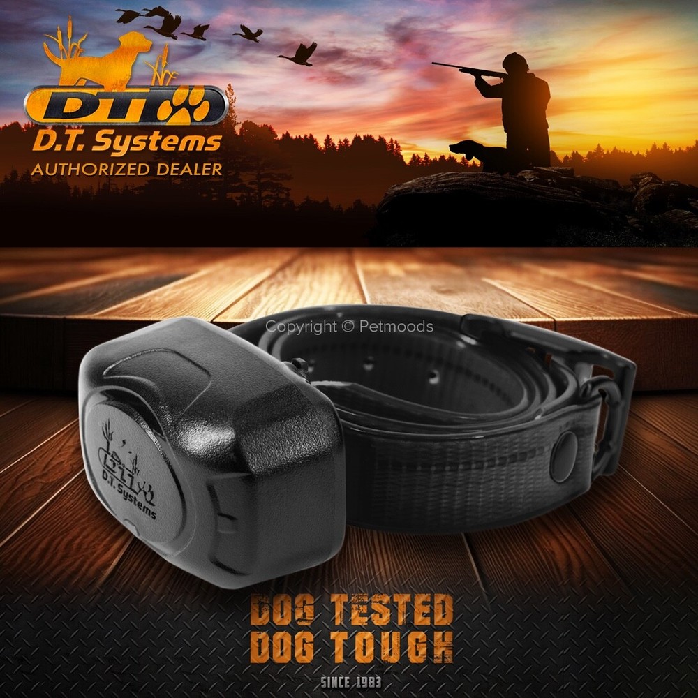 DT Systems DD700 D.O.G. Director 700 Yard Range Training System MAXX-Range 360°