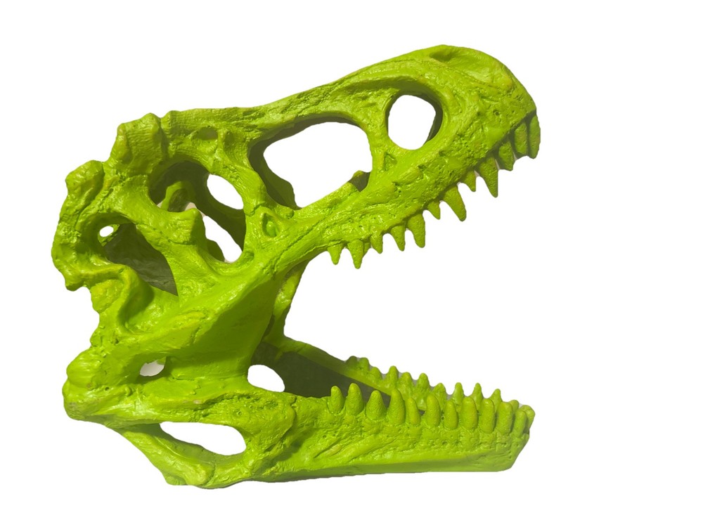 t rex skull replica