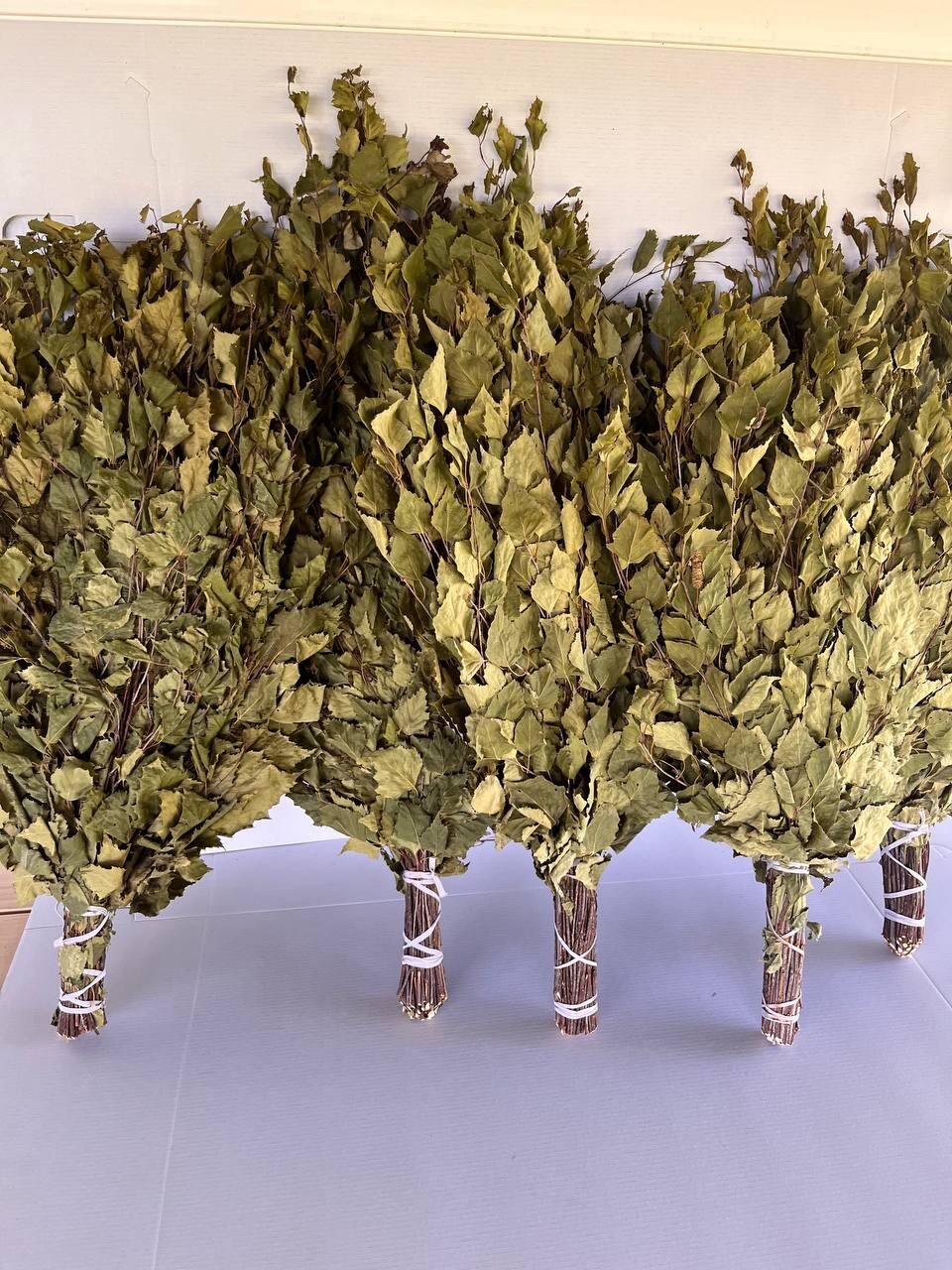 12 Oak brooms sauna banya venik Eiche whisks eco 2025 Ukrainian