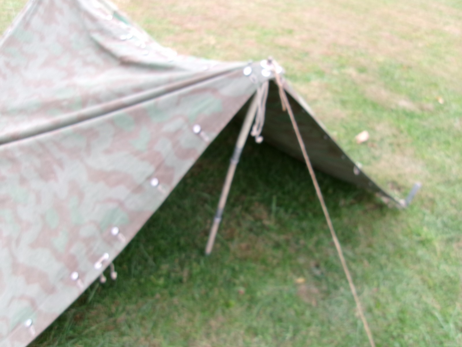 WW2 Swiss M31 Splittertarnmuster Tent - 2 Halves, Poles and Stakes
