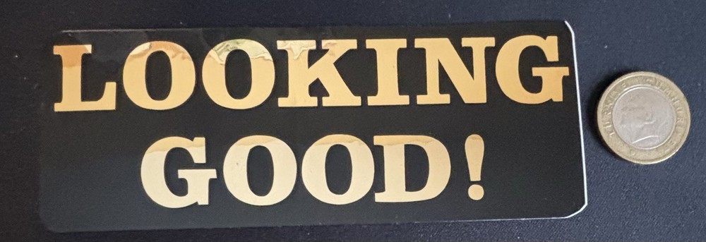 Vintage Decal Looking Good! Sticker