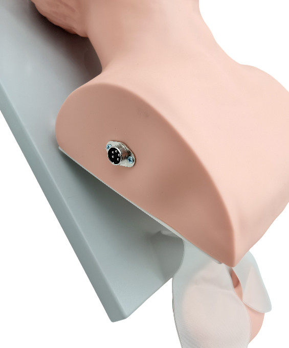 Intubation Manikin Study Teaching Model Electronic Airway Management Trainer New