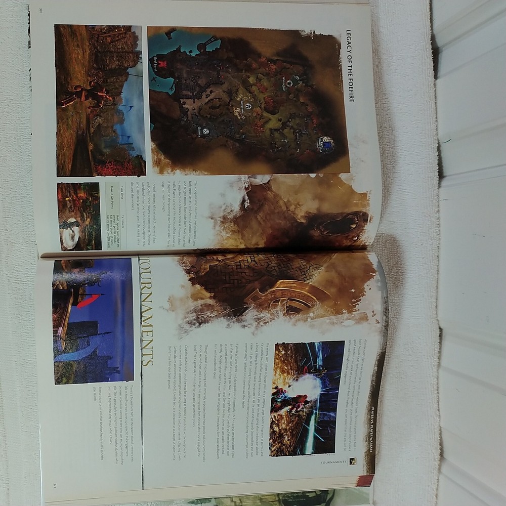 Guild Wars 2 Strategy Guide Hardcover