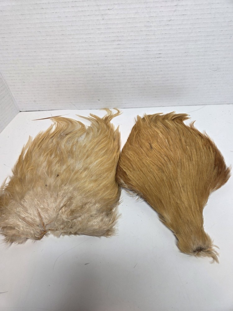 Two Ginger Saddle Hackles Fly Tying Materials Unbranded