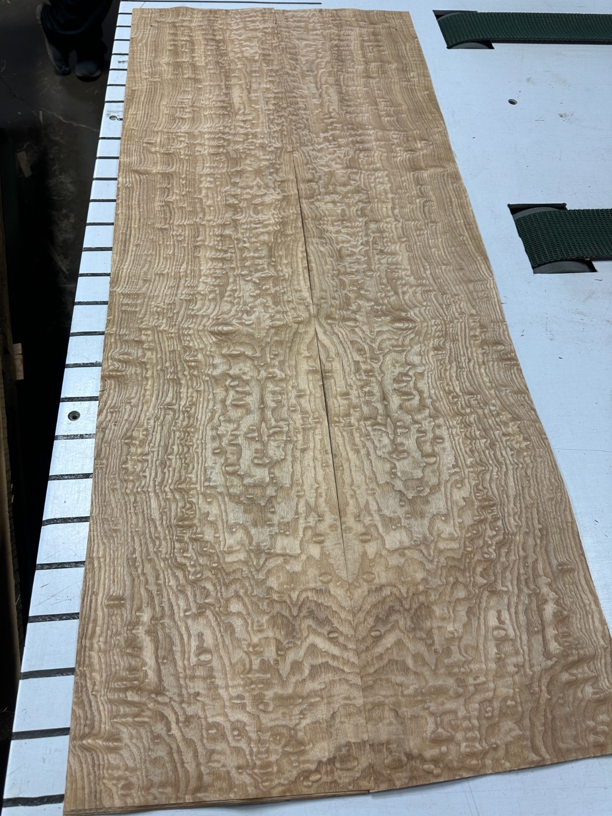 Tamo Ash Raw Wood Veneer 2 sheets 50'' x 10'' 319U