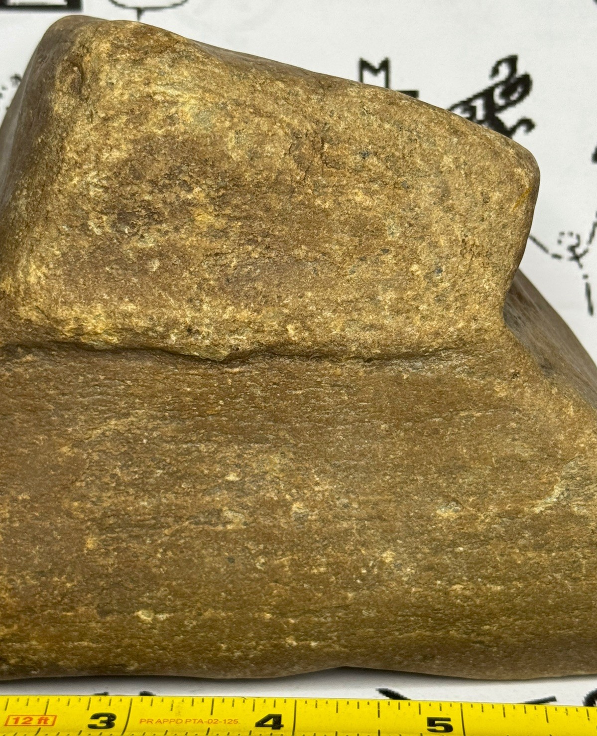 Native American Indian Authentic Artifact Stone Carved Effigy, 2 lb 13 oz • VA