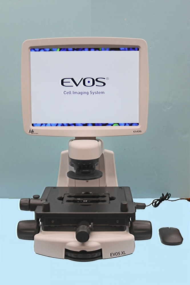 Invitrogen Life technologies AMG EVOS XL Phase Contrast Digital Microscope