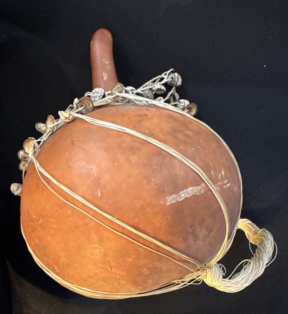 Shell Seeds Maraca Shaker Authentic