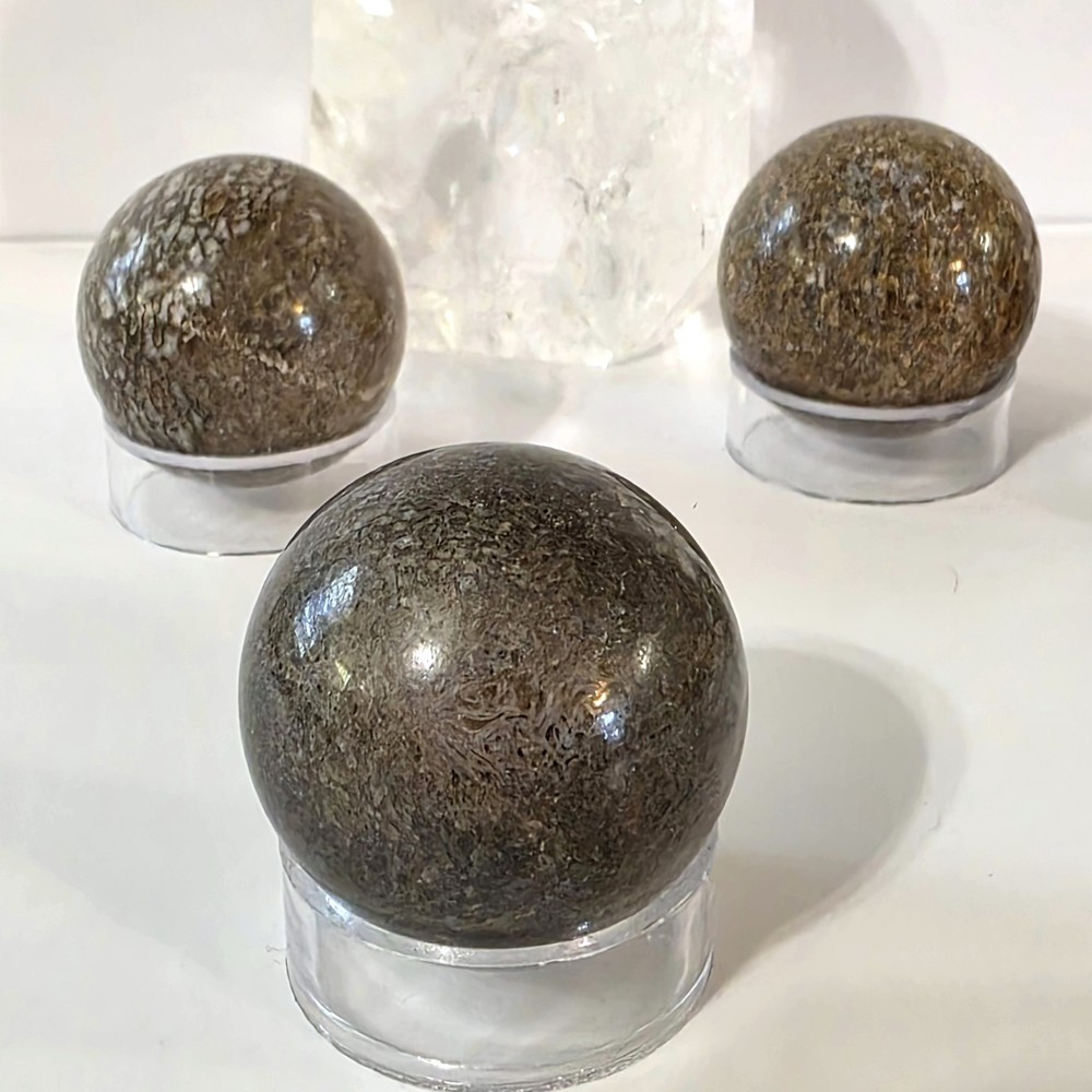 Dinosaur Bone Sphere #1- WYSIWYG