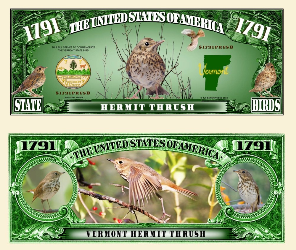 OUR VERMONT HERMIT THRUSH NOVELTY NOTES (25 EA)