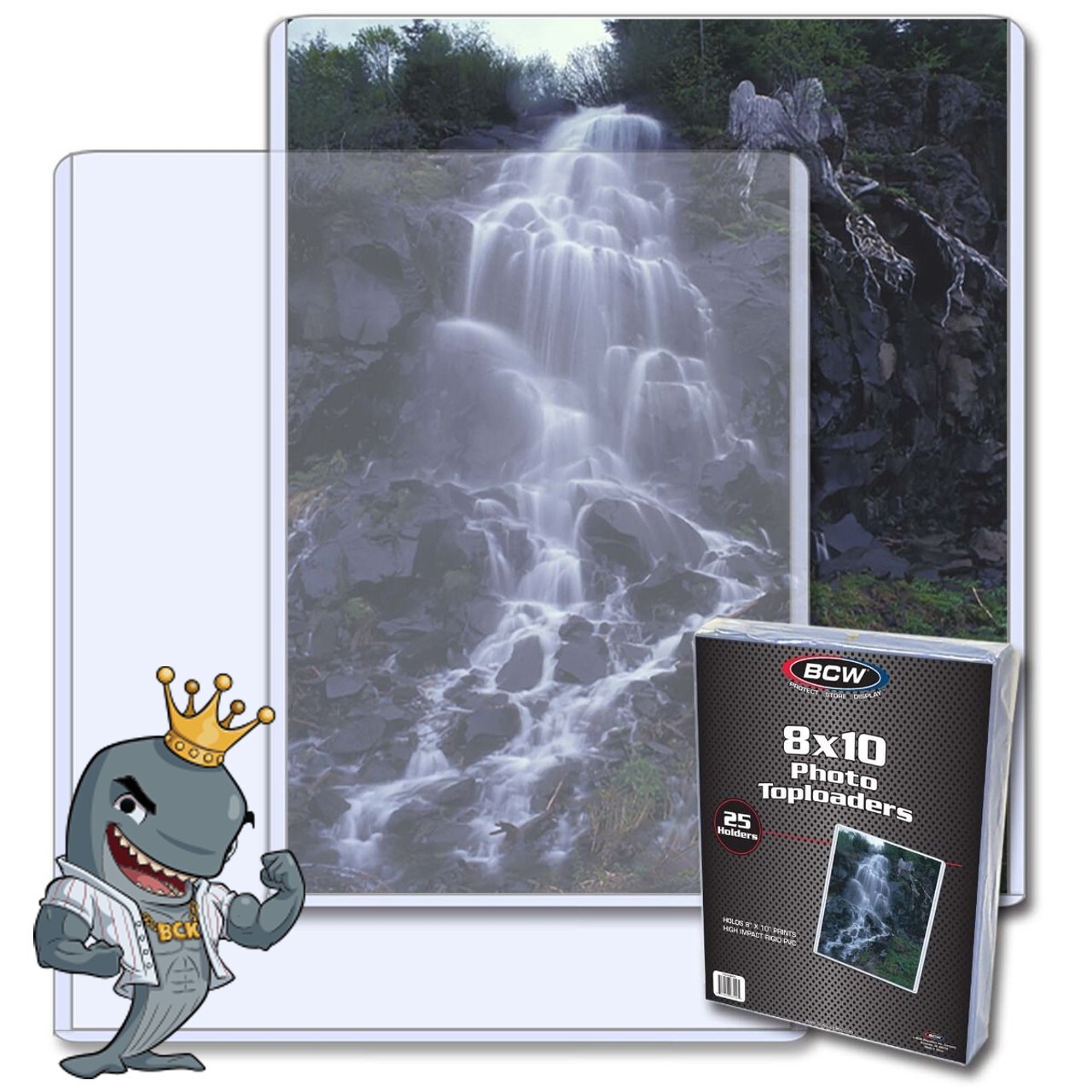 BCW 8x10 Topload Holder 25ct Pack FREE SHIP