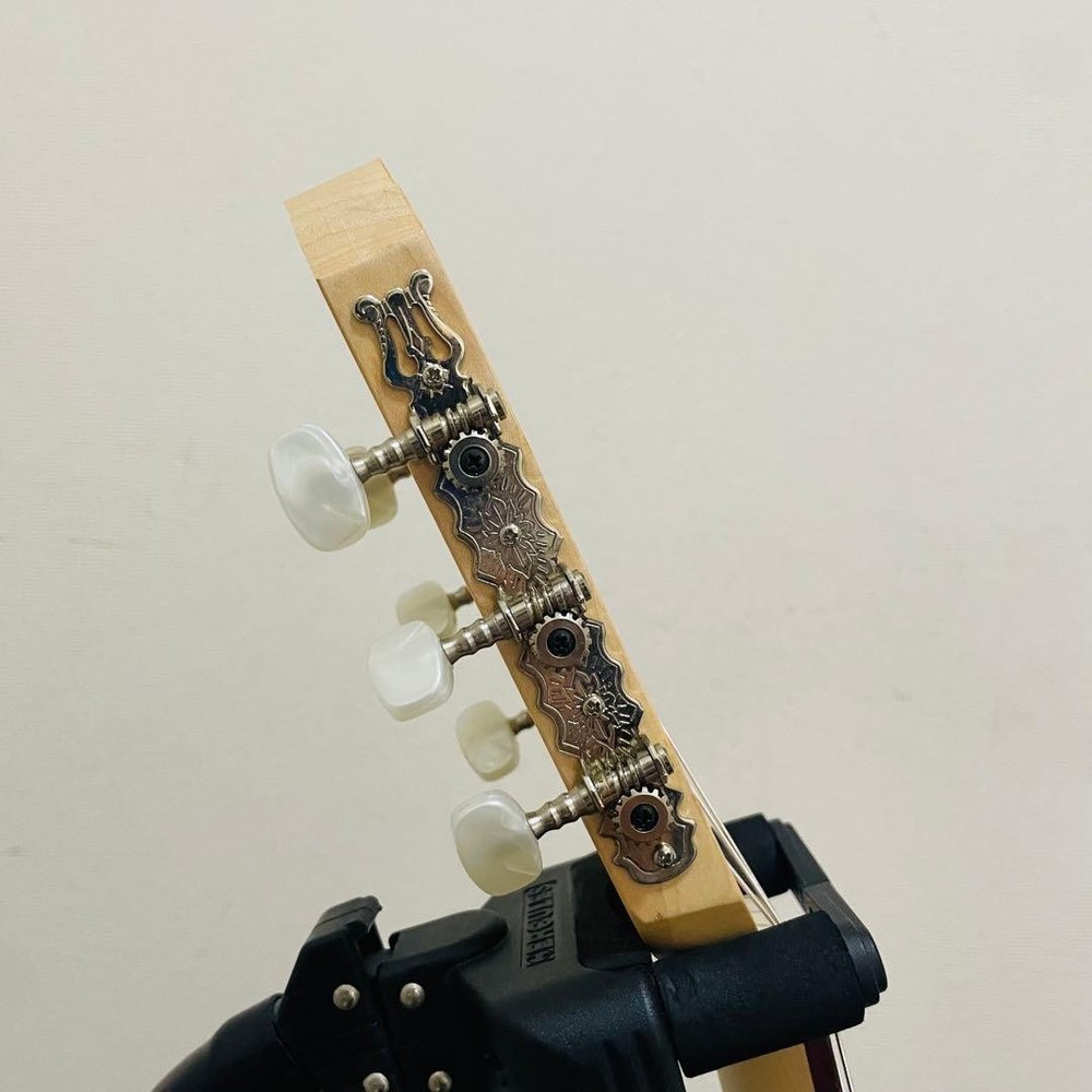 Kremona S65C Classical Guitar, 648mm Scale, No Case