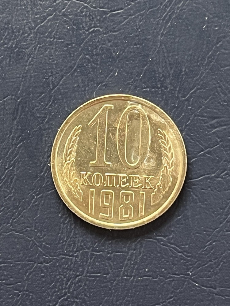 Soviet Union 10 Kopeck Coin 1981
