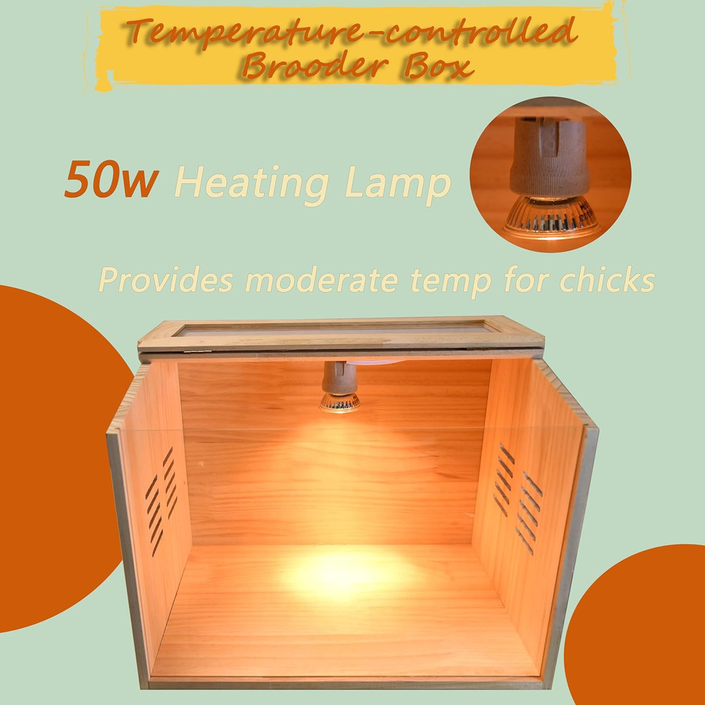 Brooder Box for Chicks, Chicken Brooder Box, Chicken Heater, Poultry Brooder wit