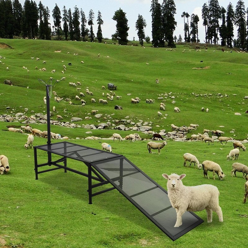 Livestock Stand Goat Milking Trimming Stand W/Ramp Adjust Height Nose Loop