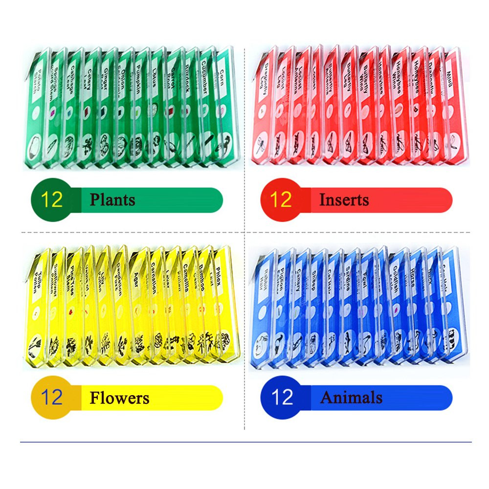 Prepared Microscope Slides Set, 48Pcs Plastic Animals Insects Plants Specimens