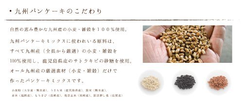 Kyushu pancake plain 5 pieces