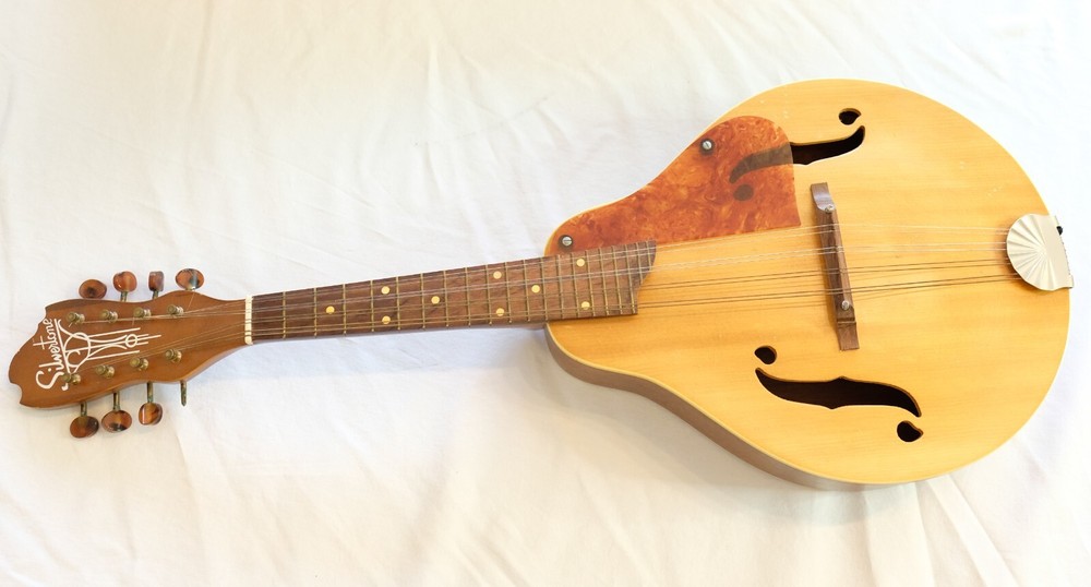 Vintage Silvertone Mandolin - Minor Defect - Sounds Decent