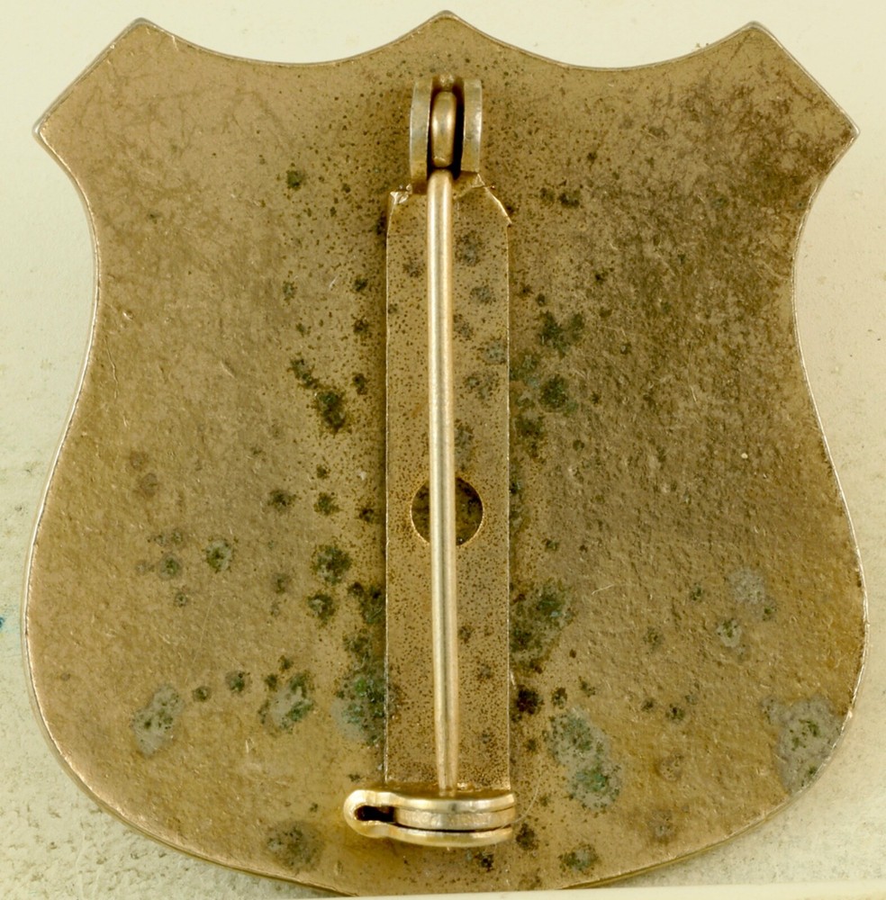Unknown Divisional Crest DI/DUI Pinback