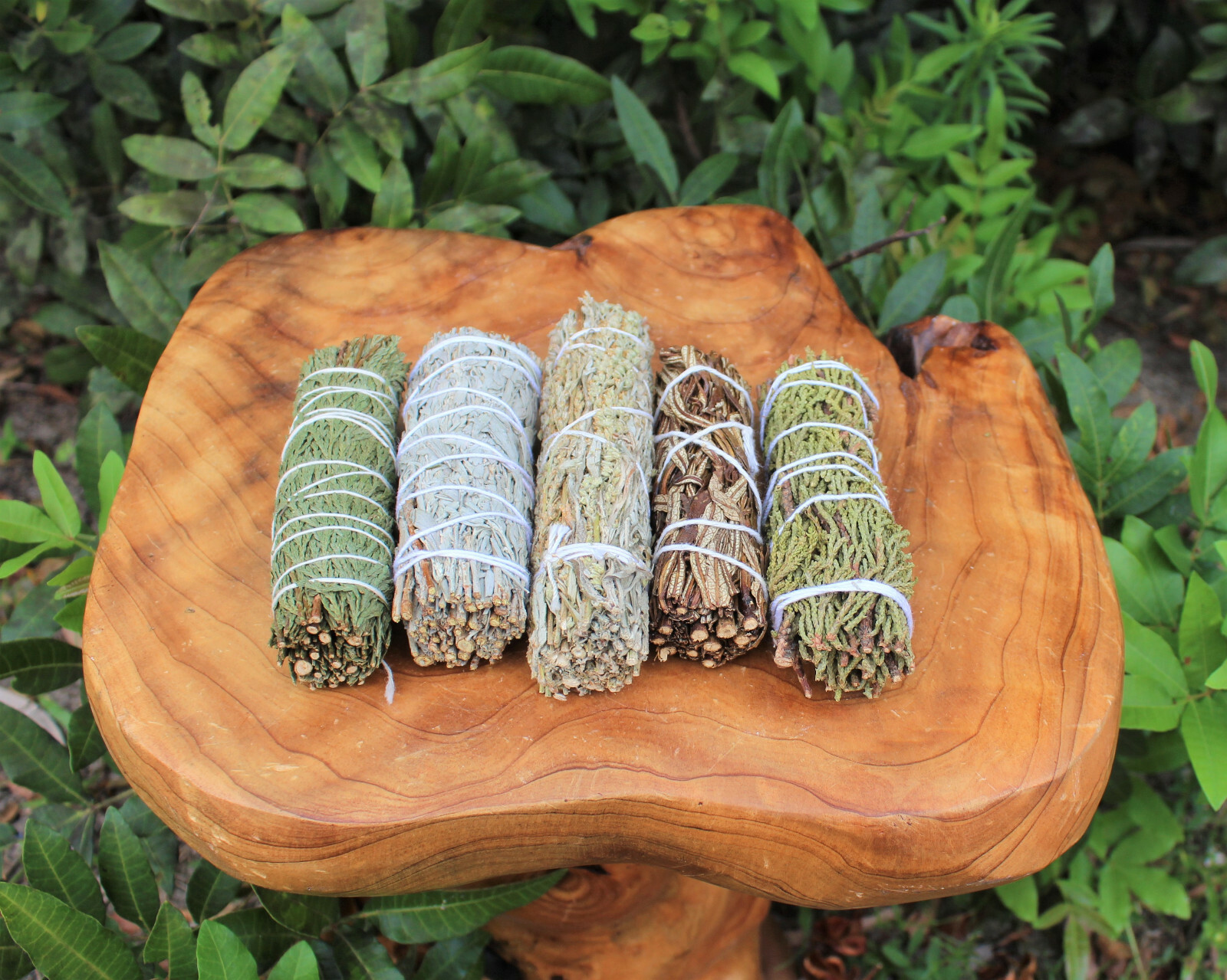 5 Smudge Stick SAMPLER: Black Sage Blue Sage Cedar Sage Juniper Sage Yerba Santa