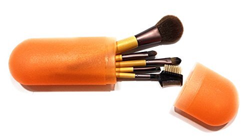 Allary Snap N Store Personal Carry Case in Assorted Colors