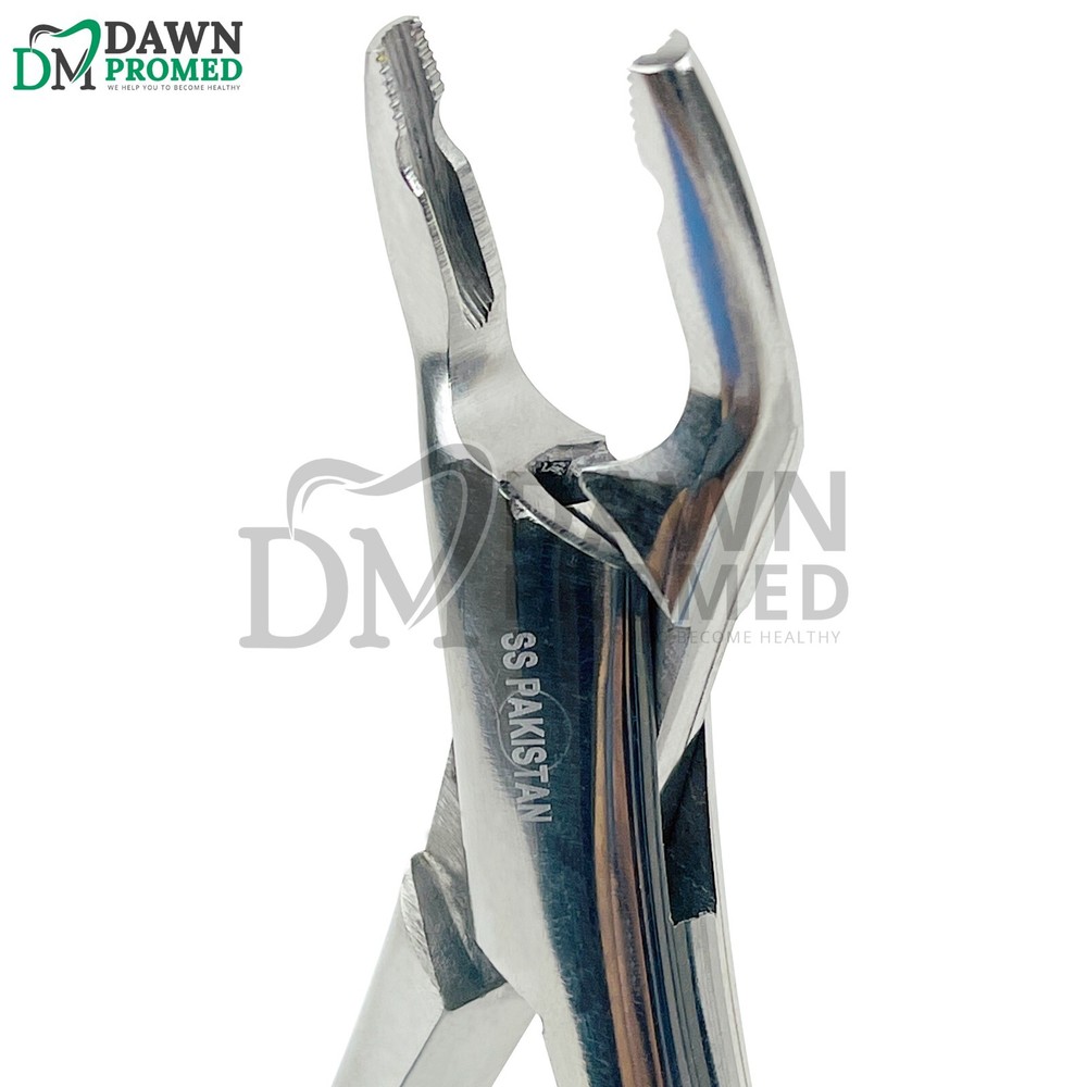 Dental Extracting Forceps #150XAS Serrated, Split Beak Design for Upper Teeth