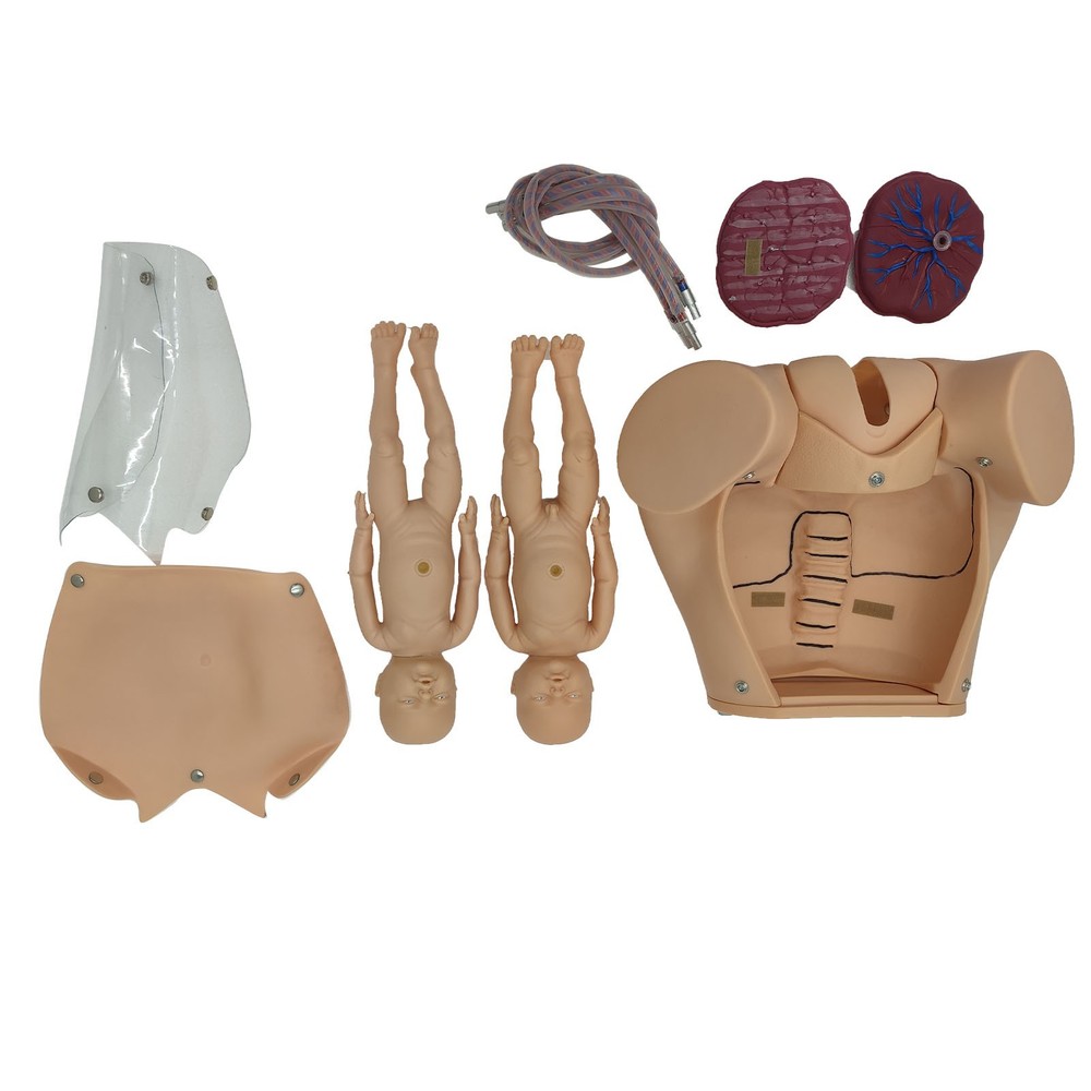 Female Childbirth Model Simulation Childbirth Comprehensive Skill Training Model