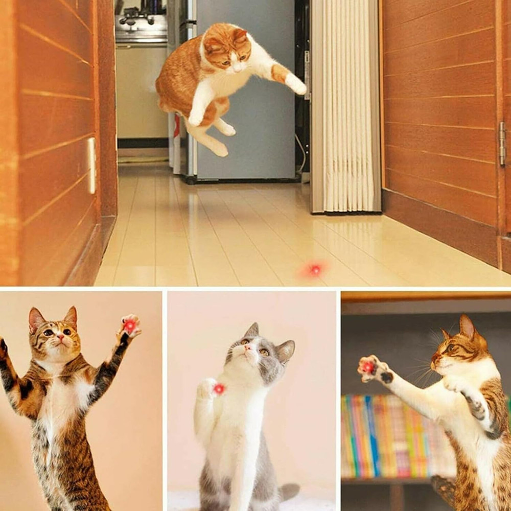 Lazer Pointer, Red Laser Pointer High Power Cat Laser Pointer Toy Red High Power