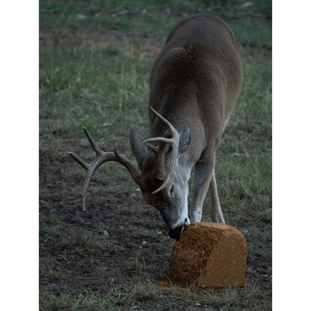 Big & J Long The Cube Range Deer Attractant Block, 25lbs