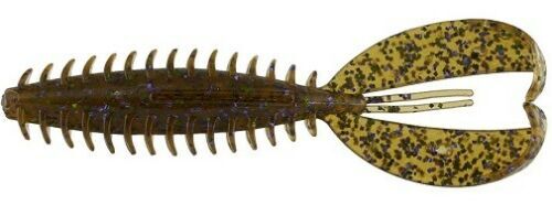 Zoom Z Craw