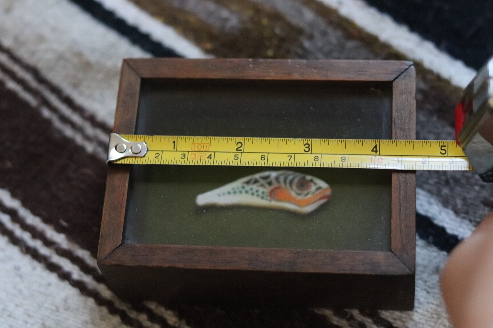 OLD NORTHWEST COAST painted shell art killer whale fetish Tlingit First Nations