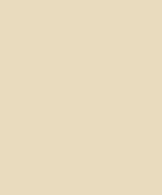 Interlux YJG009 Interdeck Sand Beige Quart