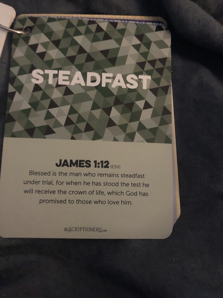 Scriptionery - Go forth Scripture Truths 20 Bible Verses Cards on a ring