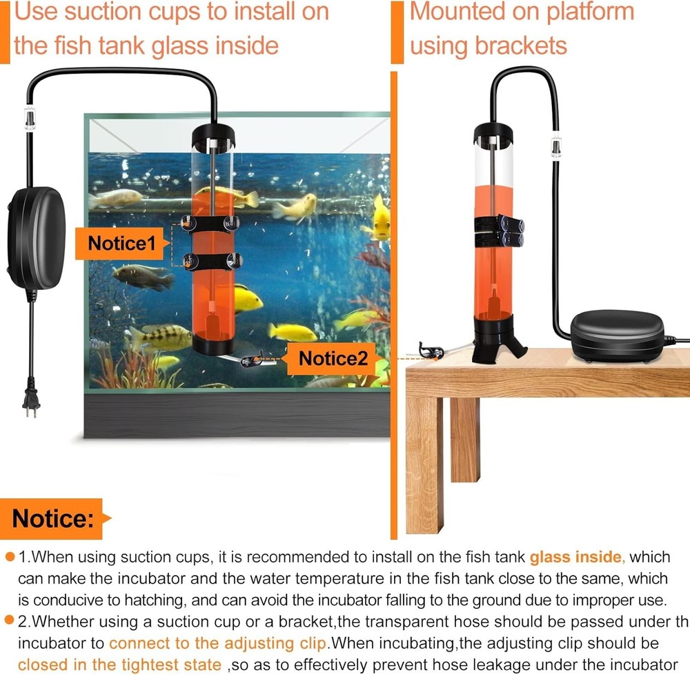 Elegant Brine Shrimp Hatchery with Visible Hatching Process & Multipurpose Tools