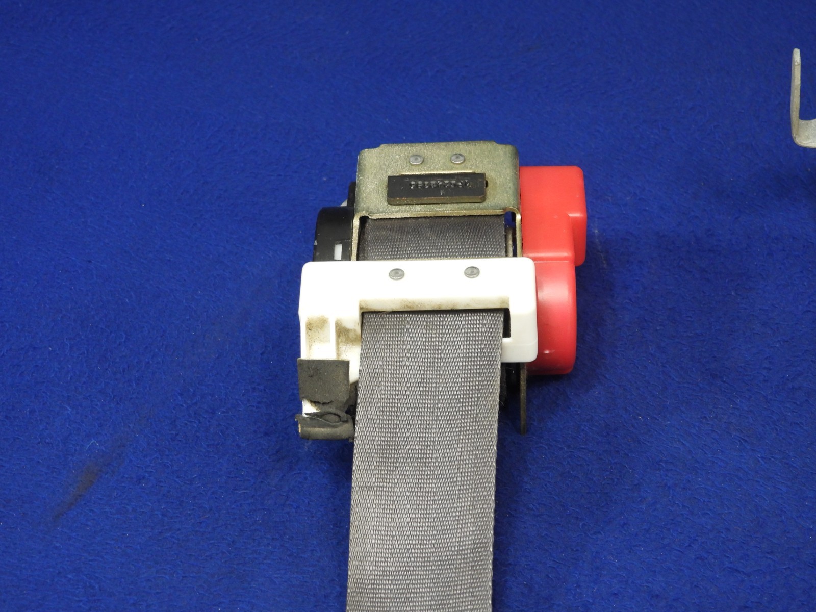 01 2001 Ford Mustang DK Charcoal Coupe Seatbelt Seatbelts OEM B64