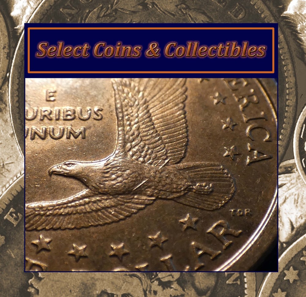 2000-P Sacagawea Dollar "Wounded Eagle" FS-901 Error Coin #3544