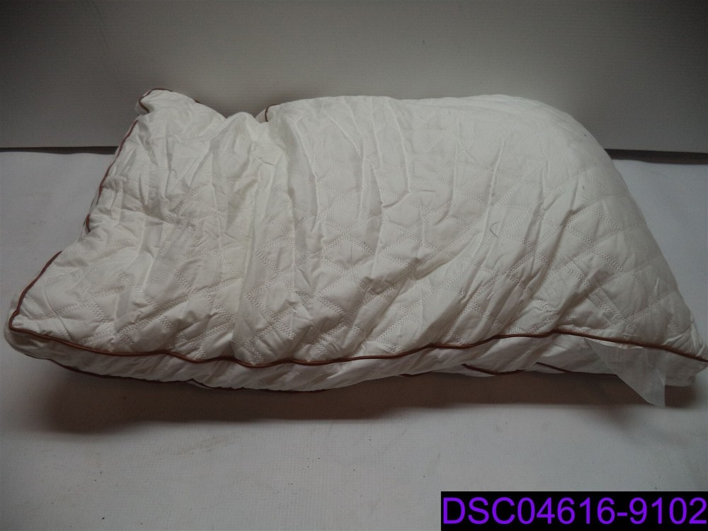 DIRTY FROM HANDLING Beegod Soft Soybean Feather Fabric Pillow 19.9" x 29.13"
